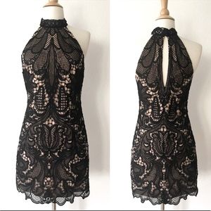 Bebe high neck lace mini dress